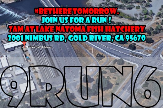 SATURDAY-9RUN6-Hatchery.jpg